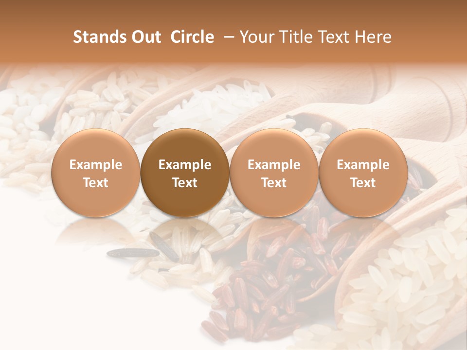 Collection Grain Wooden PowerPoint Template