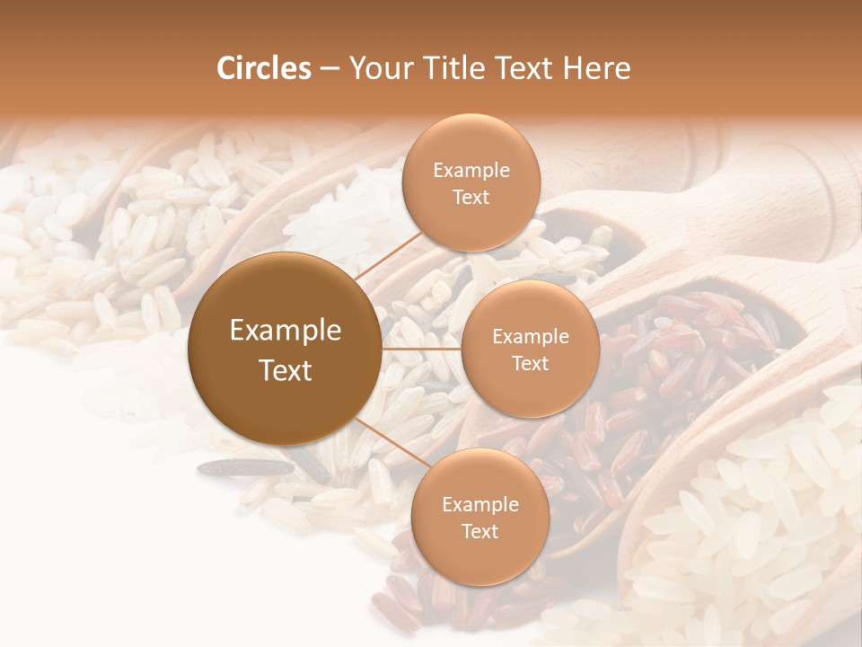 Collection Grain Wooden PowerPoint Template