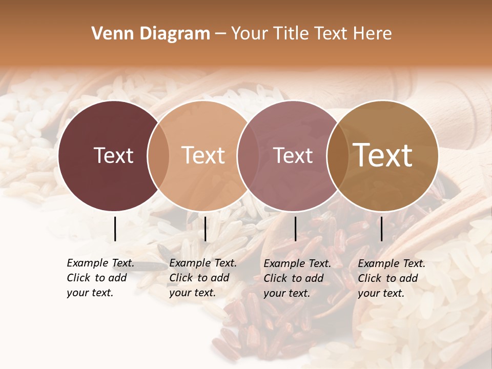 Collection Grain Wooden PowerPoint Template