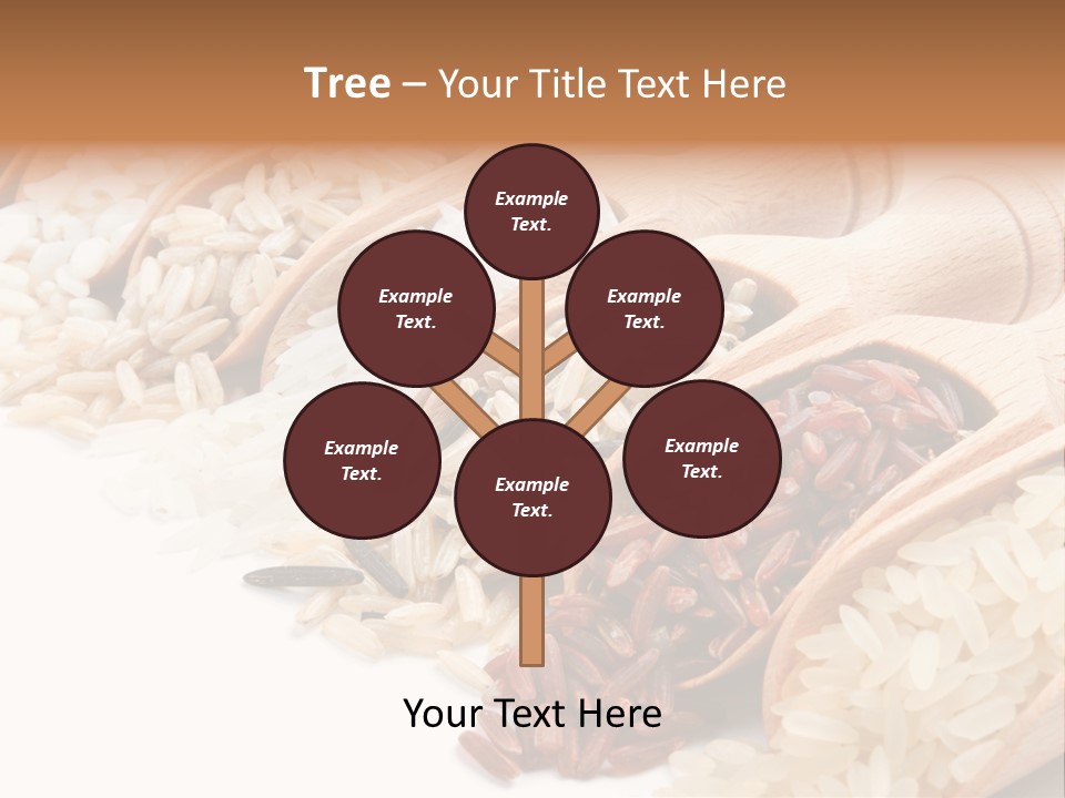 Collection Grain Wooden PowerPoint Template