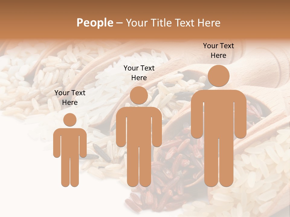 Collection Grain Wooden PowerPoint Template