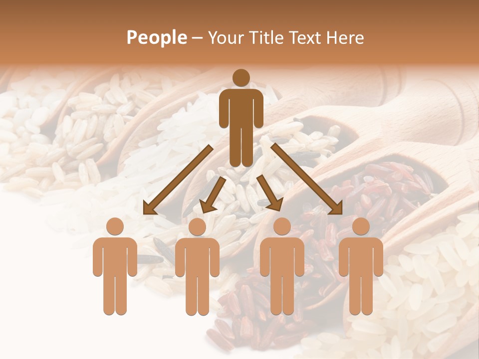 Collection Grain Wooden PowerPoint Template