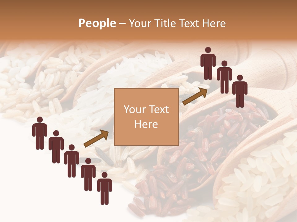 Collection Grain Wooden PowerPoint Template