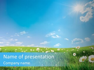 Bright Garden Lawn PowerPoint Template