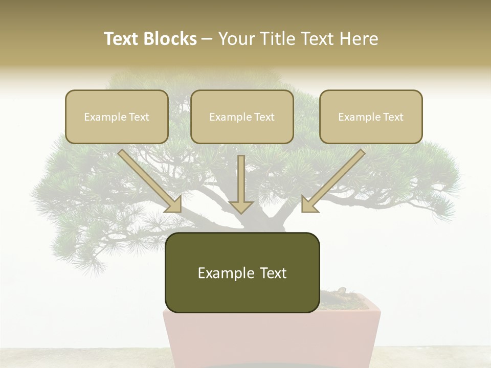 Asia Mini Leaf PowerPoint Template