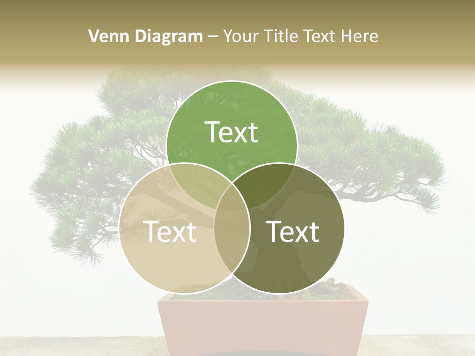 Asia Mini Leaf PowerPoint Template