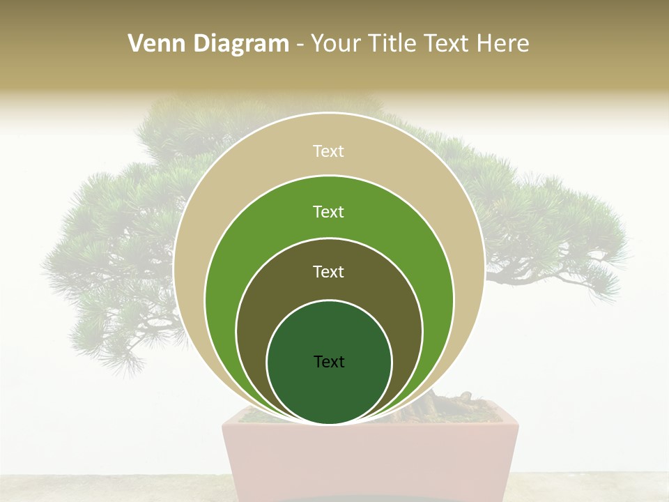 Asia Mini Leaf PowerPoint Template