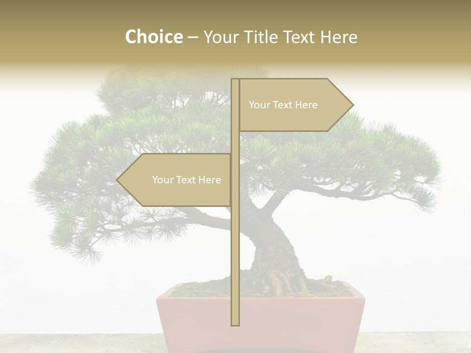 Asia Mini Leaf PowerPoint Template