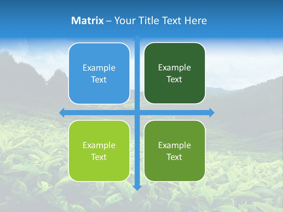 Cameron Plant Morning PowerPoint Template