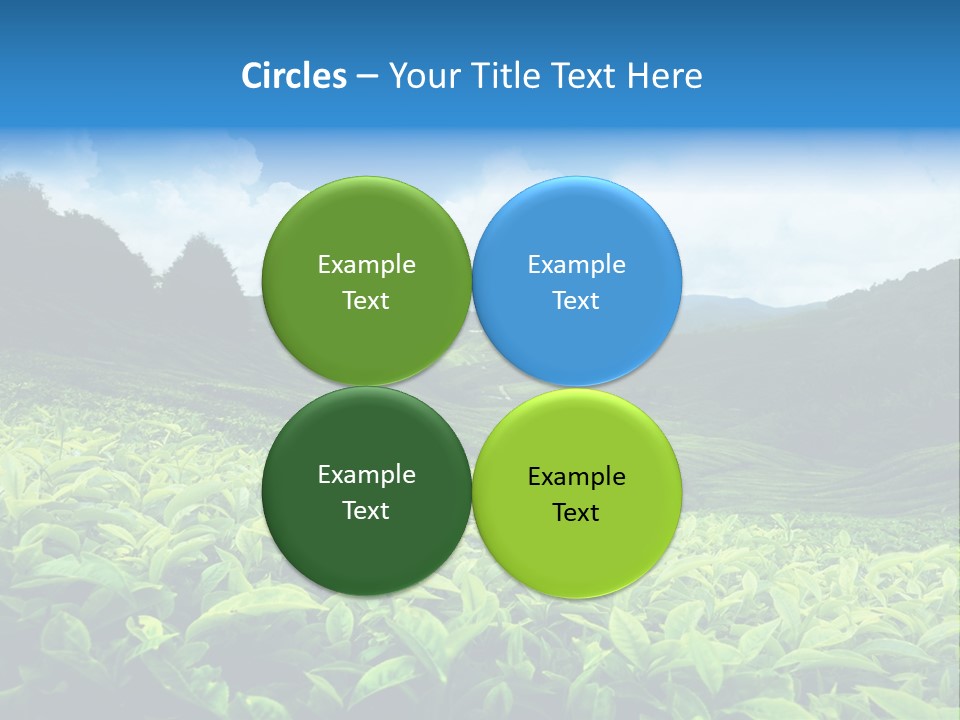 Cameron Plant Morning PowerPoint Template