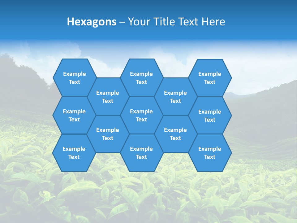 Cameron Plant Morning PowerPoint Template