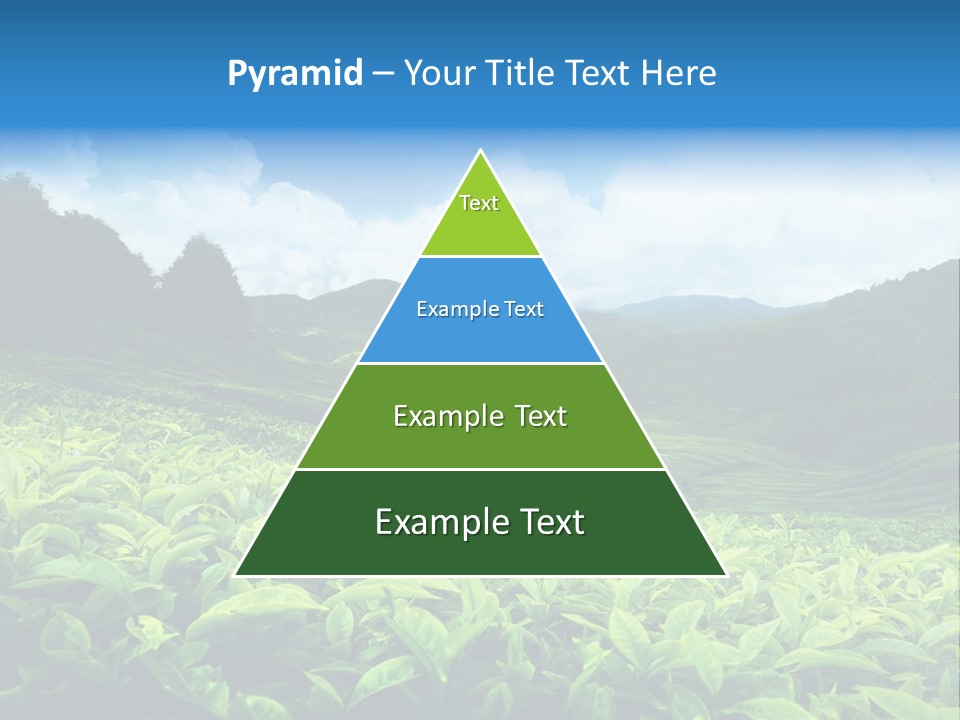 Cameron Plant Morning PowerPoint Template