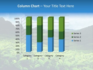 Cameron Plant Morning PowerPoint Template