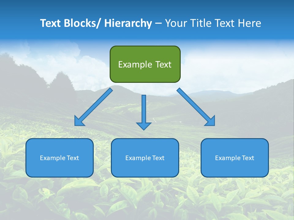 Cameron Plant Morning PowerPoint Template