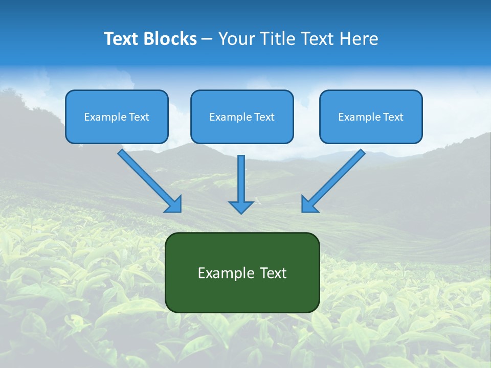 Cameron Plant Morning PowerPoint Template