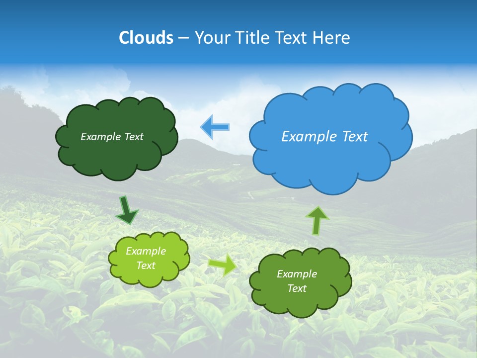 Cameron Plant Morning PowerPoint Template