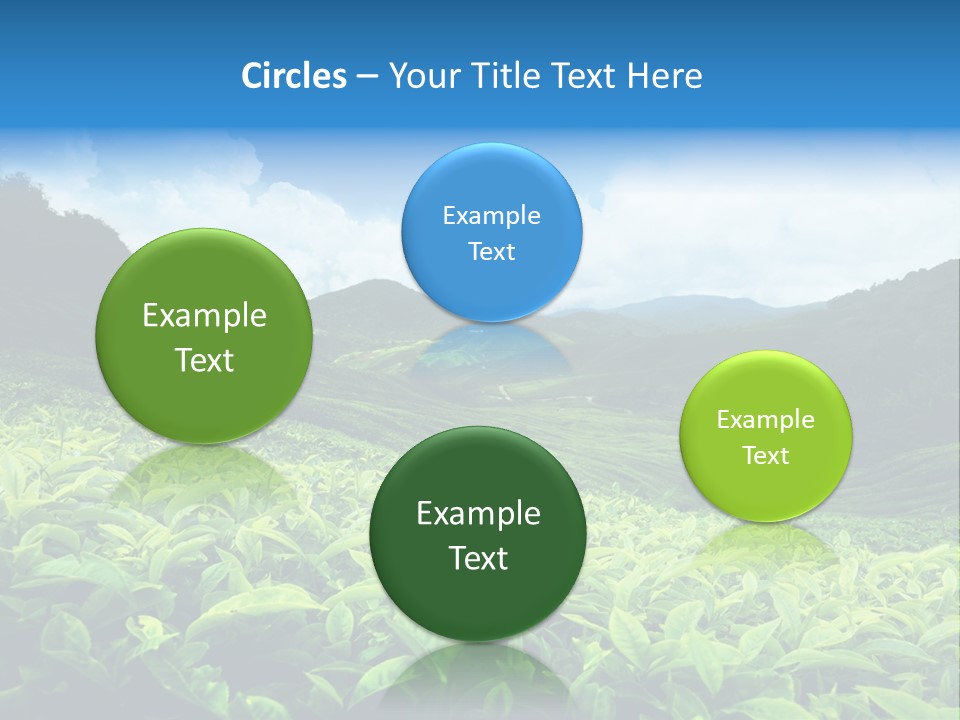 Cameron Plant Morning PowerPoint Template