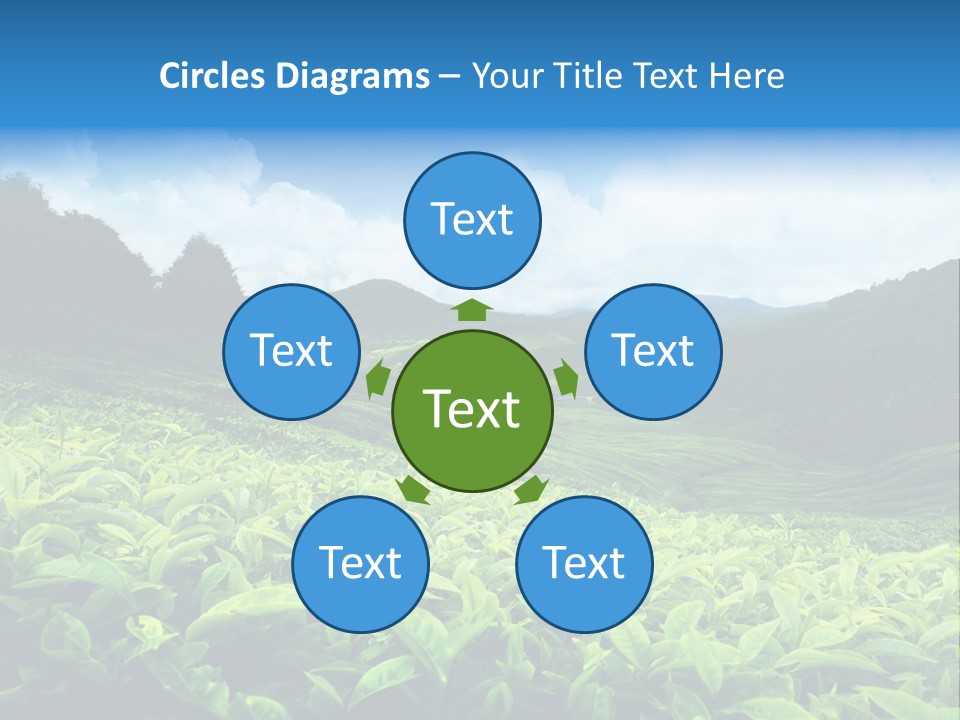 Cameron Plant Morning PowerPoint Template