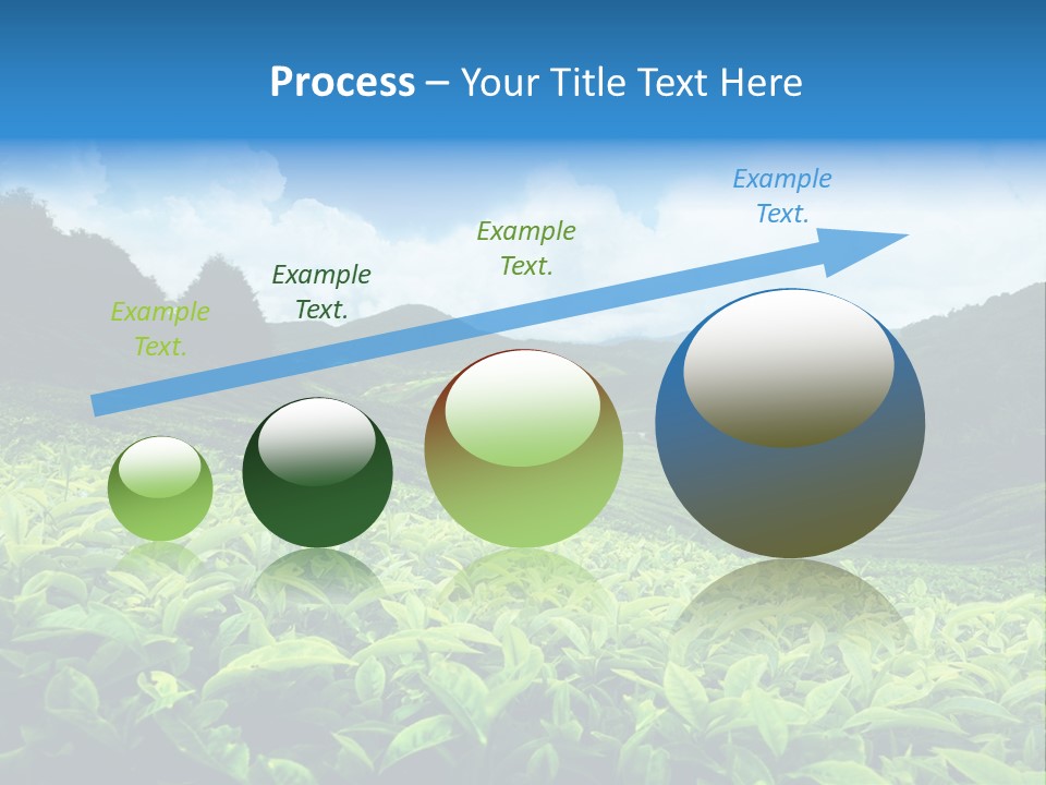 Cameron Plant Morning PowerPoint Template