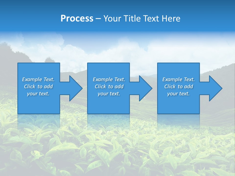 Cameron Plant Morning PowerPoint Template