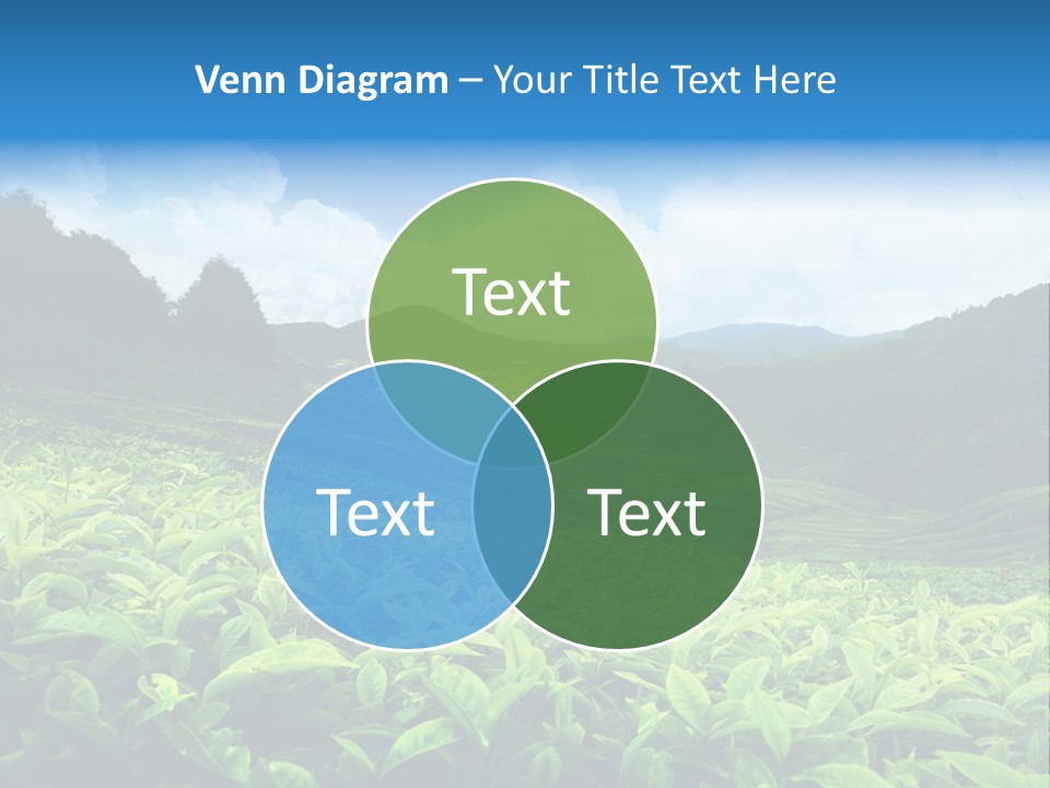 Cameron Plant Morning PowerPoint Template