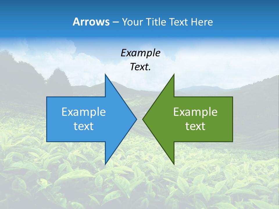 Cameron Plant Morning PowerPoint Template