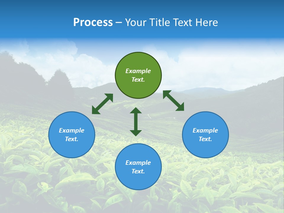 Cameron Plant Morning PowerPoint Template