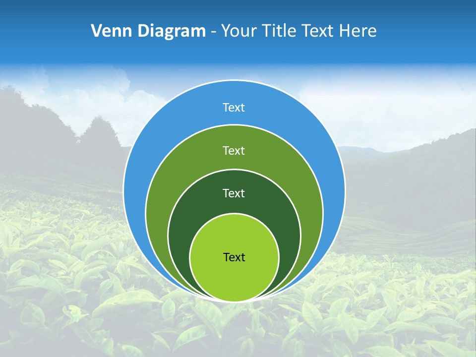 Cameron Plant Morning PowerPoint Template