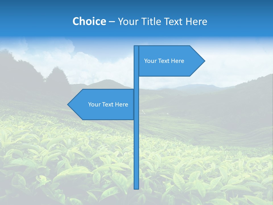 Cameron Plant Morning PowerPoint Template