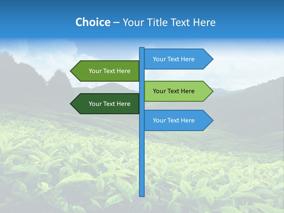 Cameron Plant Morning PowerPoint Template