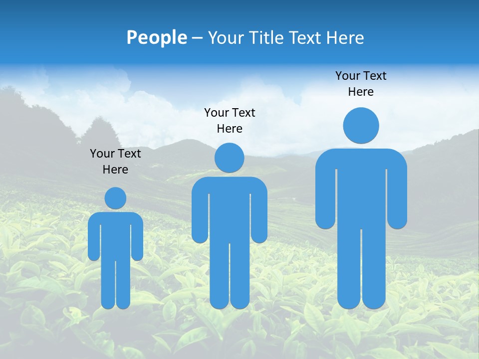 Cameron Plant Morning PowerPoint Template