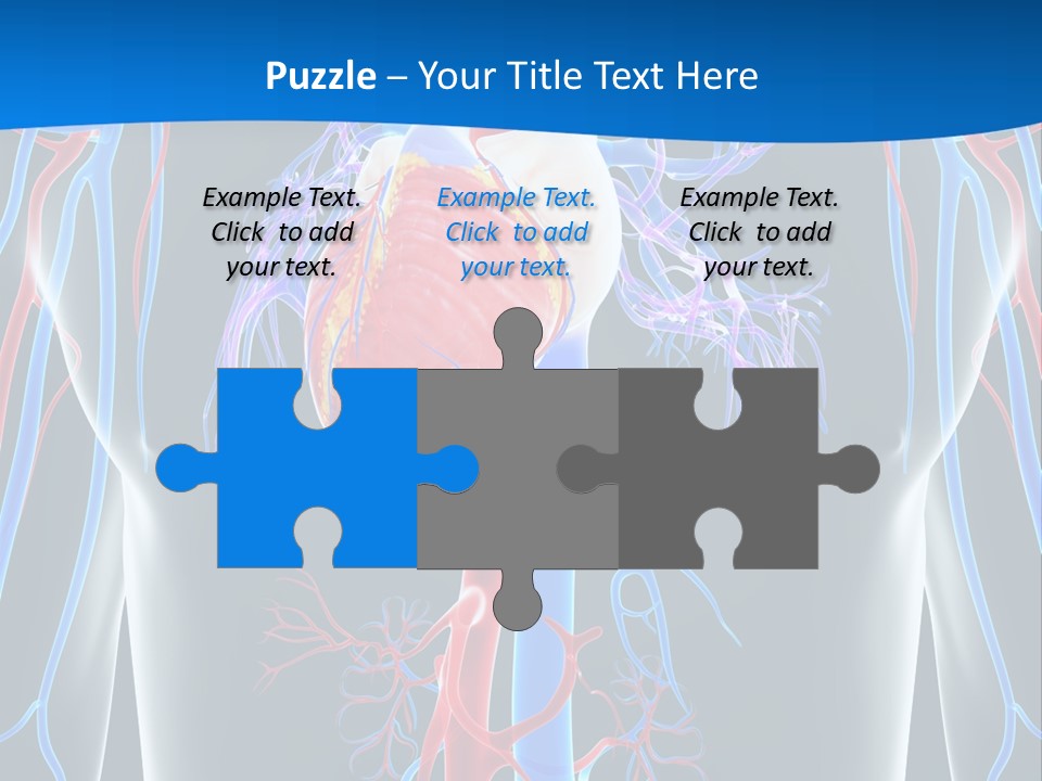 Cava Heart Vena PowerPoint Template