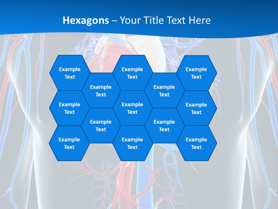 Cava Heart Vena PowerPoint Template