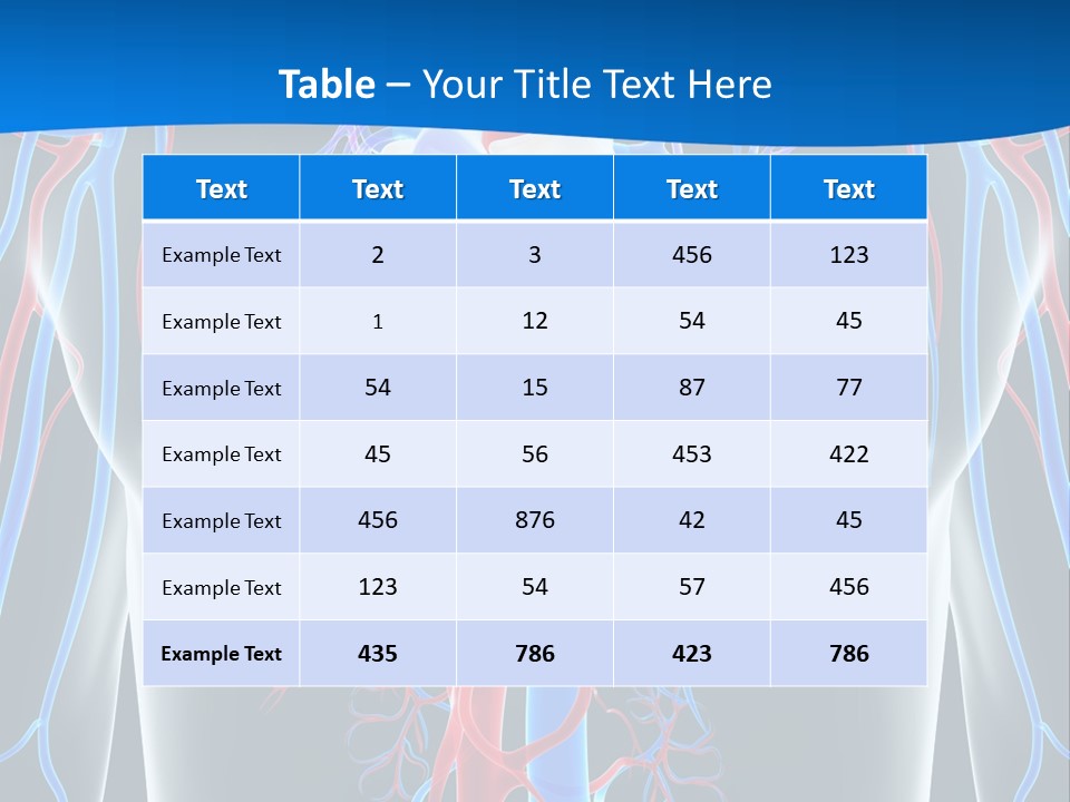 Cava Heart Vena PowerPoint Template