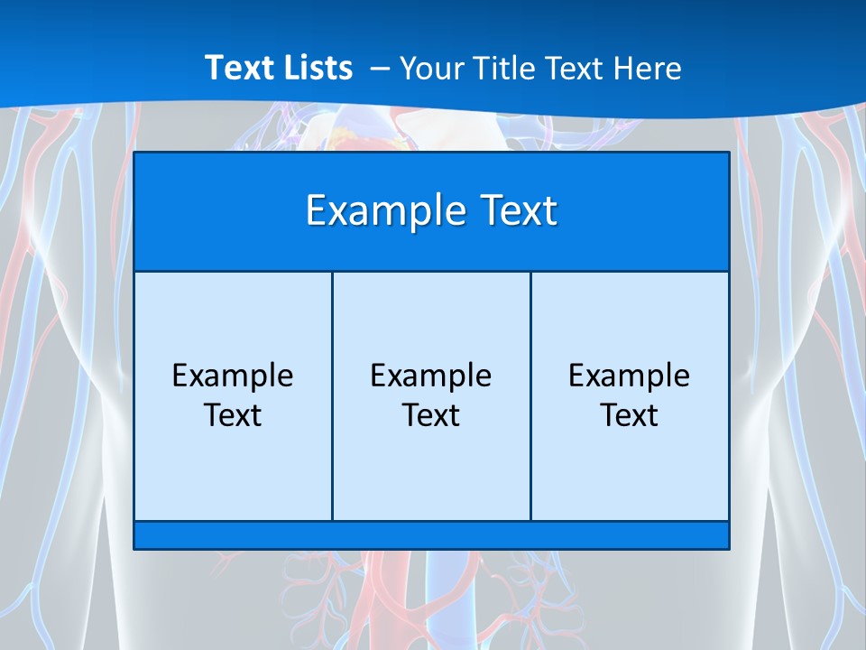 Cava Heart Vena PowerPoint Template
