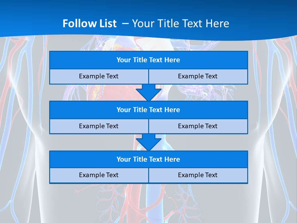 Cava Heart Vena PowerPoint Template