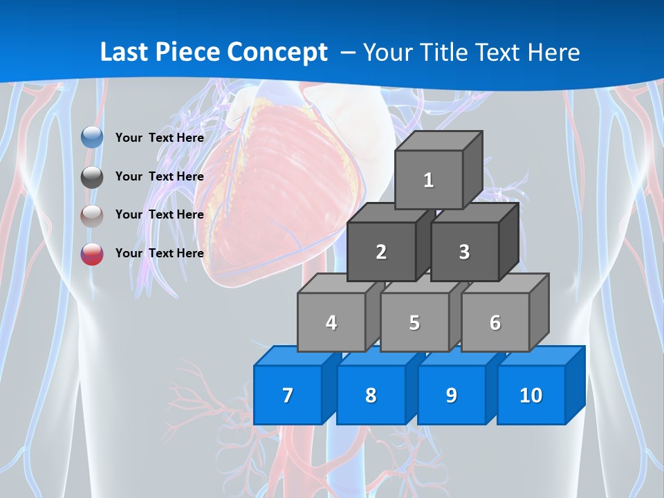 Cava Heart Vena PowerPoint Template