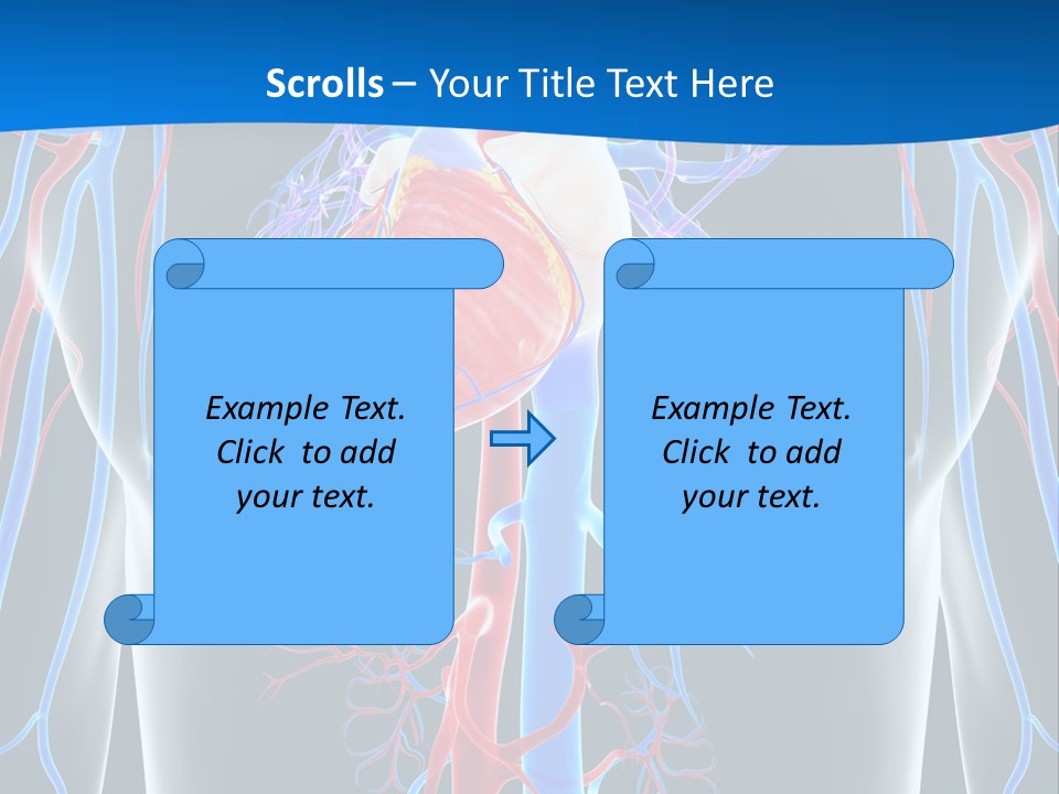 Cava Heart Vena PowerPoint Template