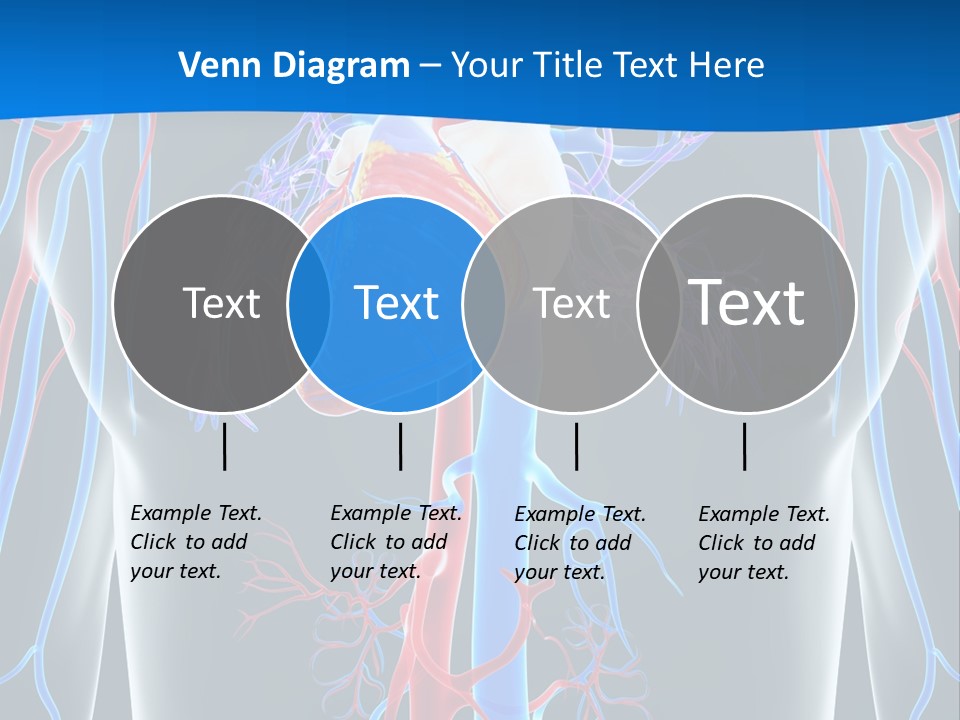 Cava Heart Vena PowerPoint Template