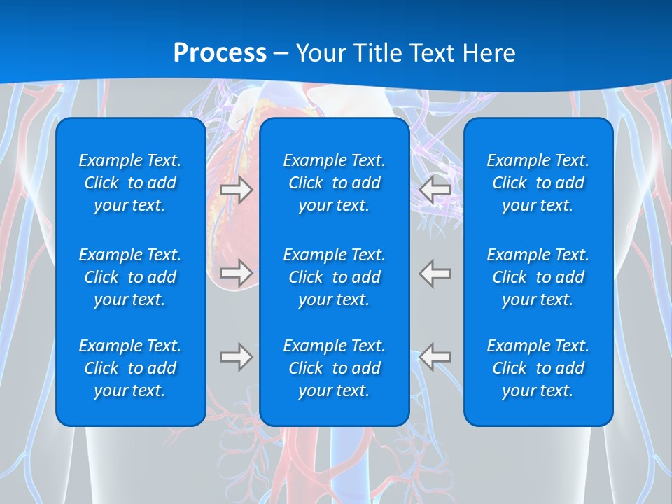 Cava Heart Vena PowerPoint Template