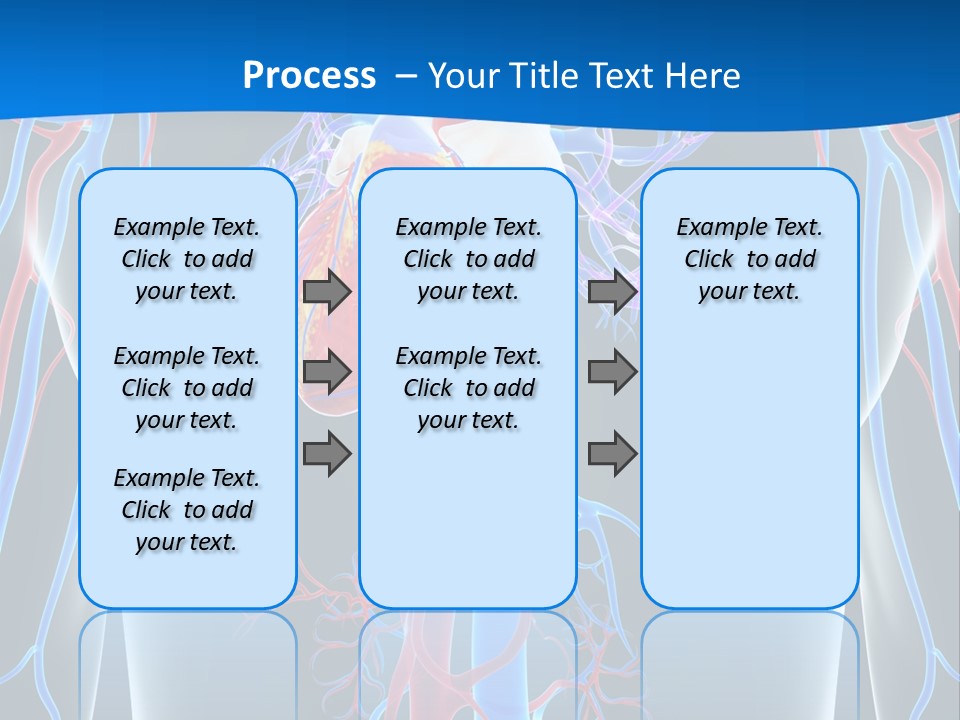 Cava Heart Vena PowerPoint Template