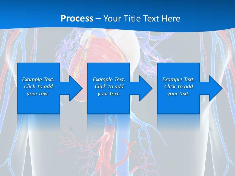 Cava Heart Vena PowerPoint Template