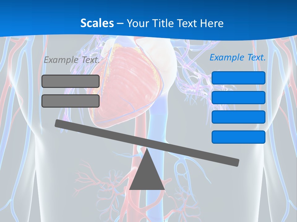 Cava Heart Vena PowerPoint Template