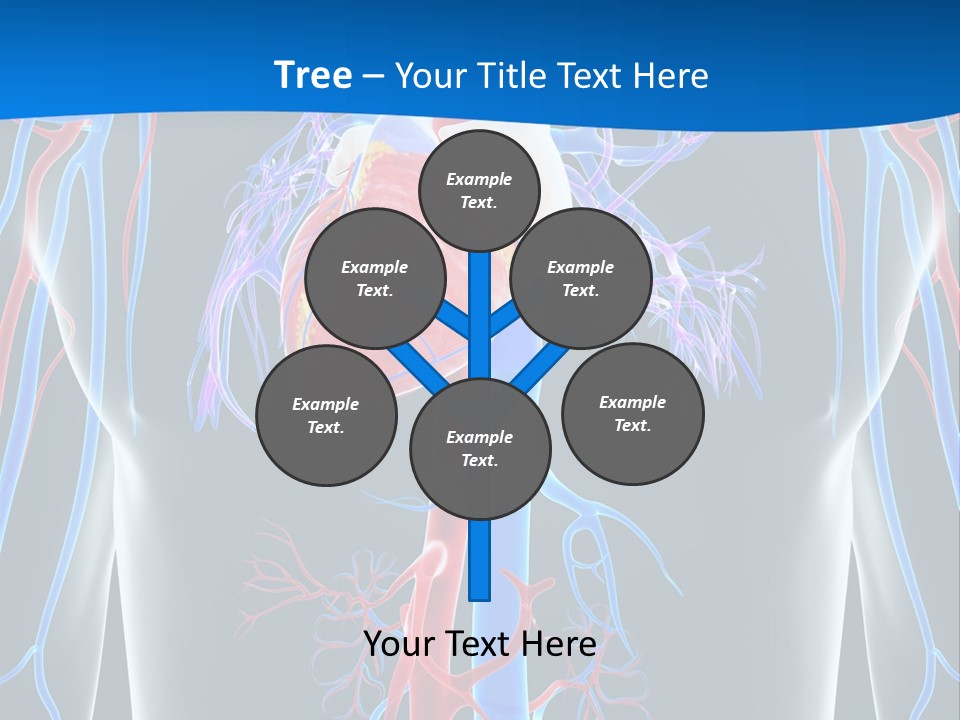 Cava Heart Vena PowerPoint Template