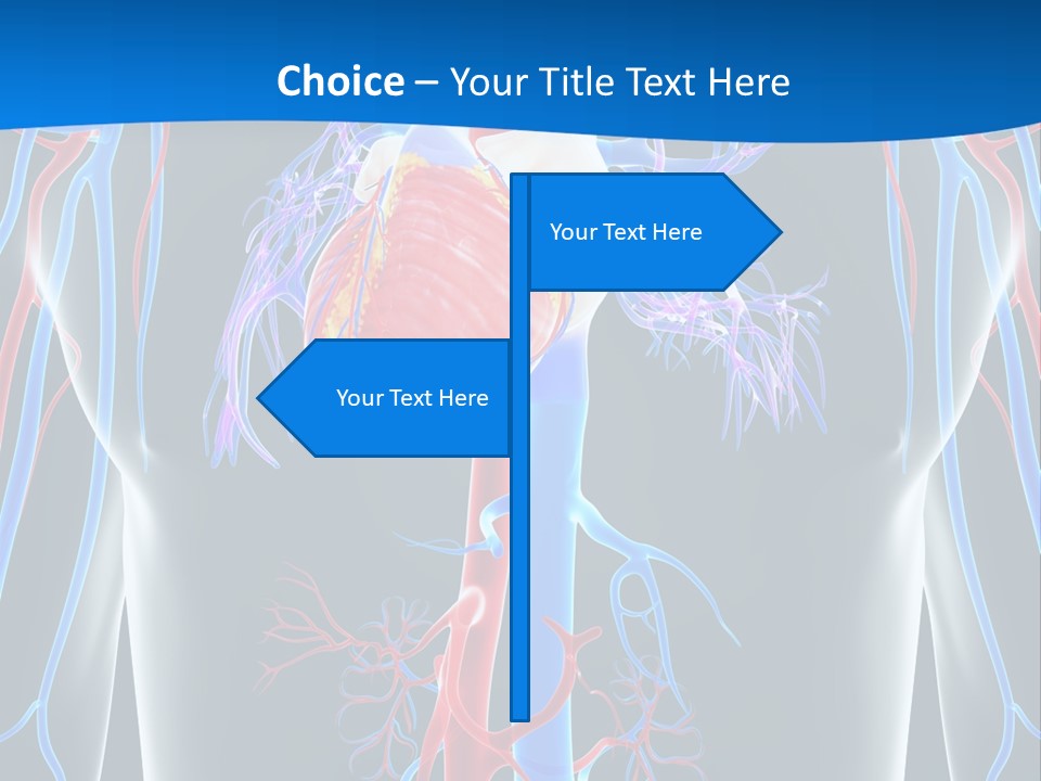 Cava Heart Vena PowerPoint Template
