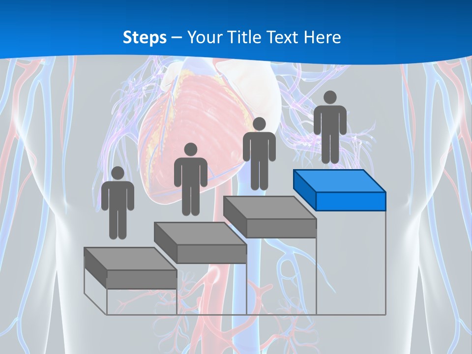 Cava Heart Vena PowerPoint Template