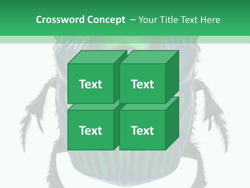 South America Wildlife Dung Eater PowerPoint Template