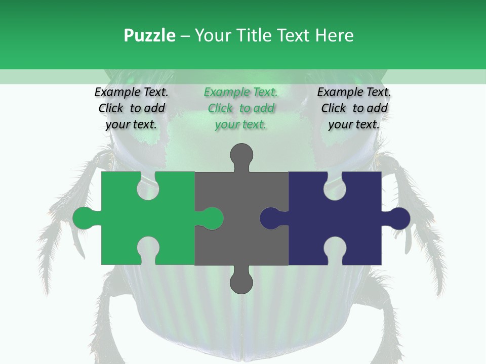 South America Wildlife Dung Eater PowerPoint Template