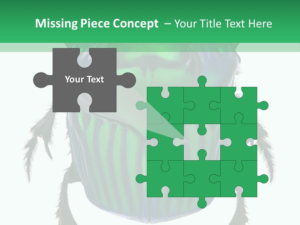 South America Wildlife Dung Eater PowerPoint Template