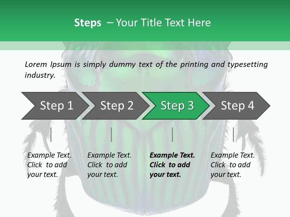 South America Wildlife Dung Eater PowerPoint Template